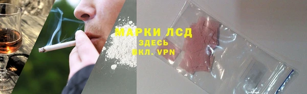 гидра Алексин