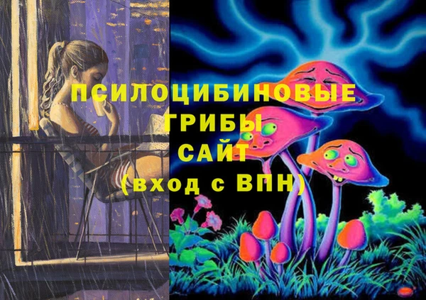 стафф Алзамай