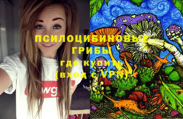 спиды Арсеньев