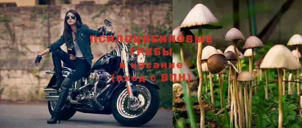спиды Арсеньев