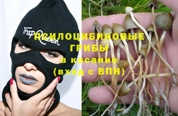 дживик Армянск