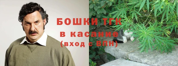 гидра Алексин