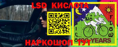 шишки Жуковский