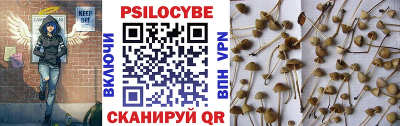 Псилоцибиновые грибы GOLDEN TEACHER  закладка  shop какой сайт  Ливны 