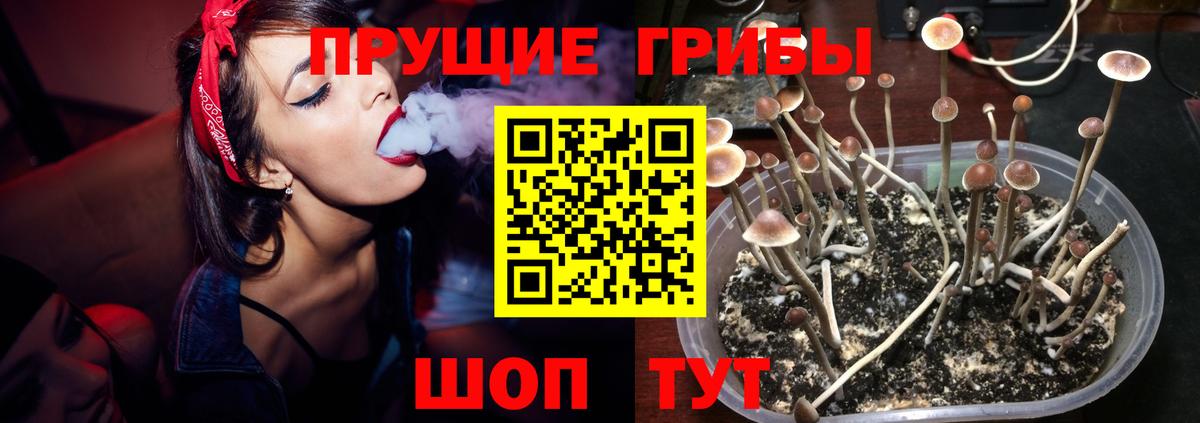 Галлюциногенные грибы GOLDEN TEACHER Ливны